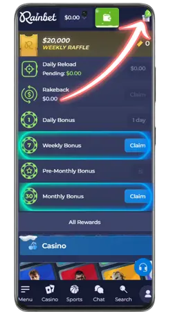Rainbet casino wallet page with cryptocurrency deposit address and options